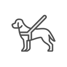 Perro lazarillo
